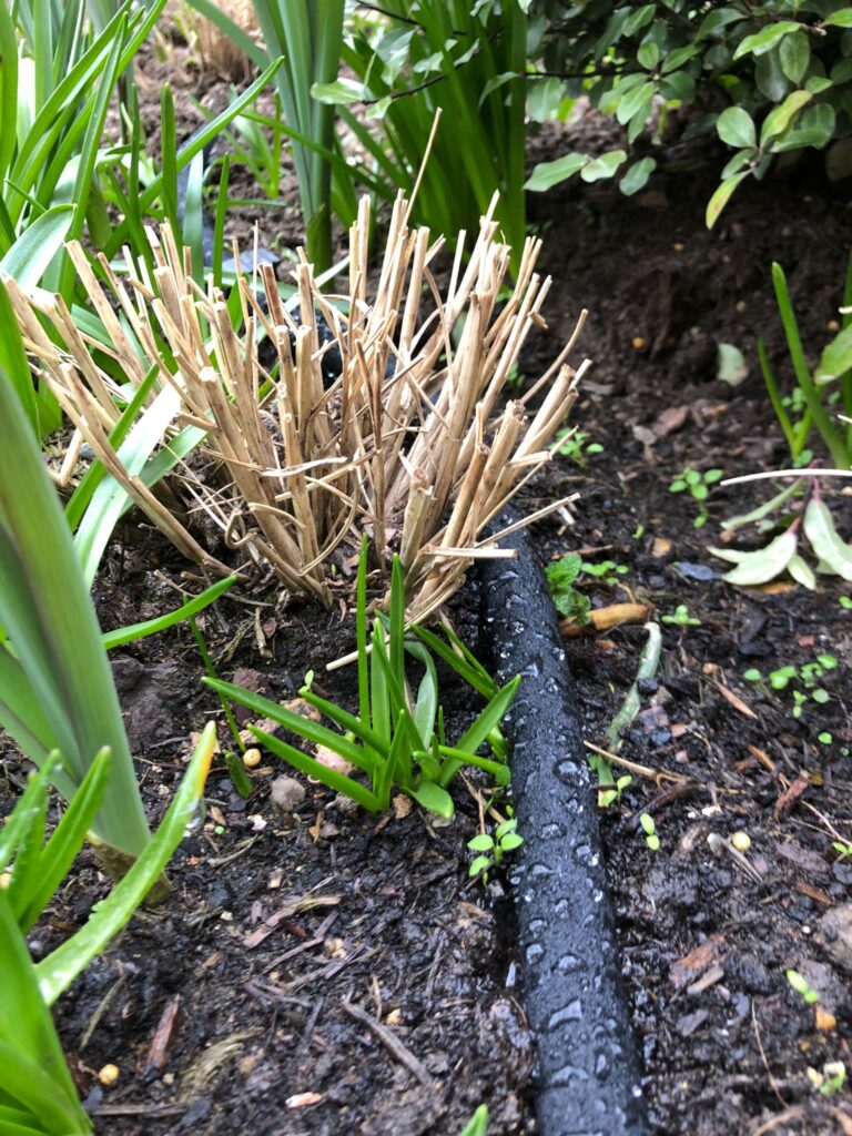 eco-friendly watering